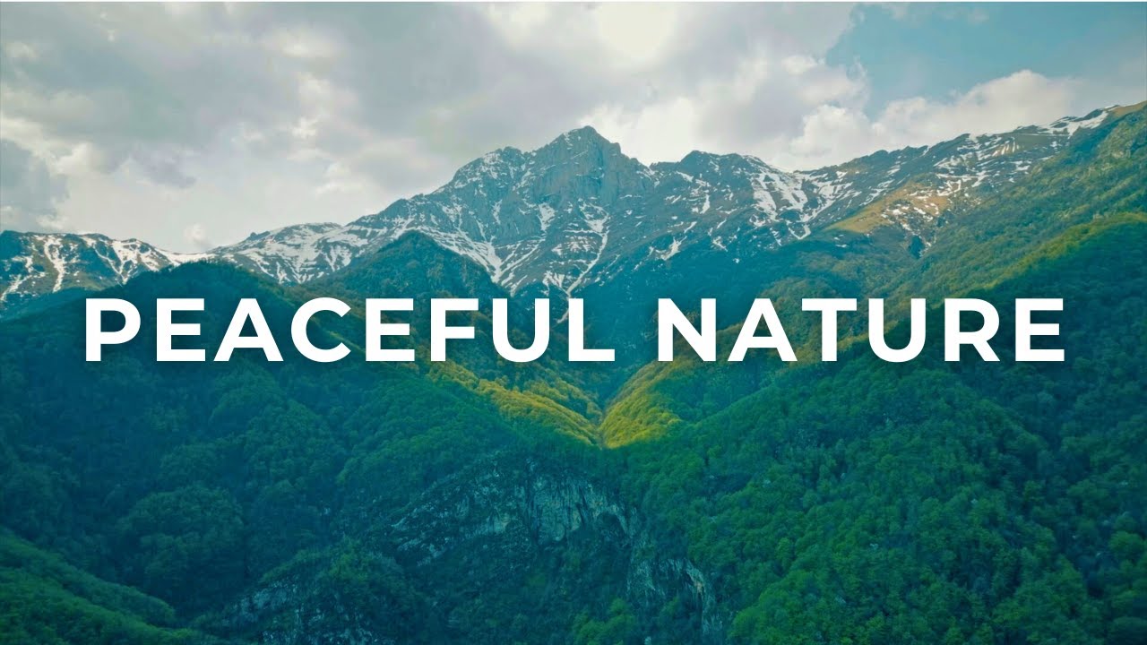 528 Hz Peaceful Nature | Soothing Sounds for Deep Relaxation & Healing Meditation