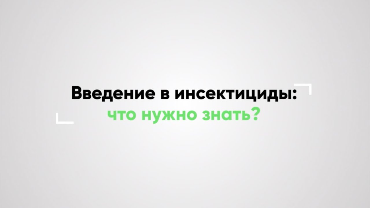 ВВЕДЕНИЕ В ИНСЕКТИЦИДЫ: Что нужно знать?
