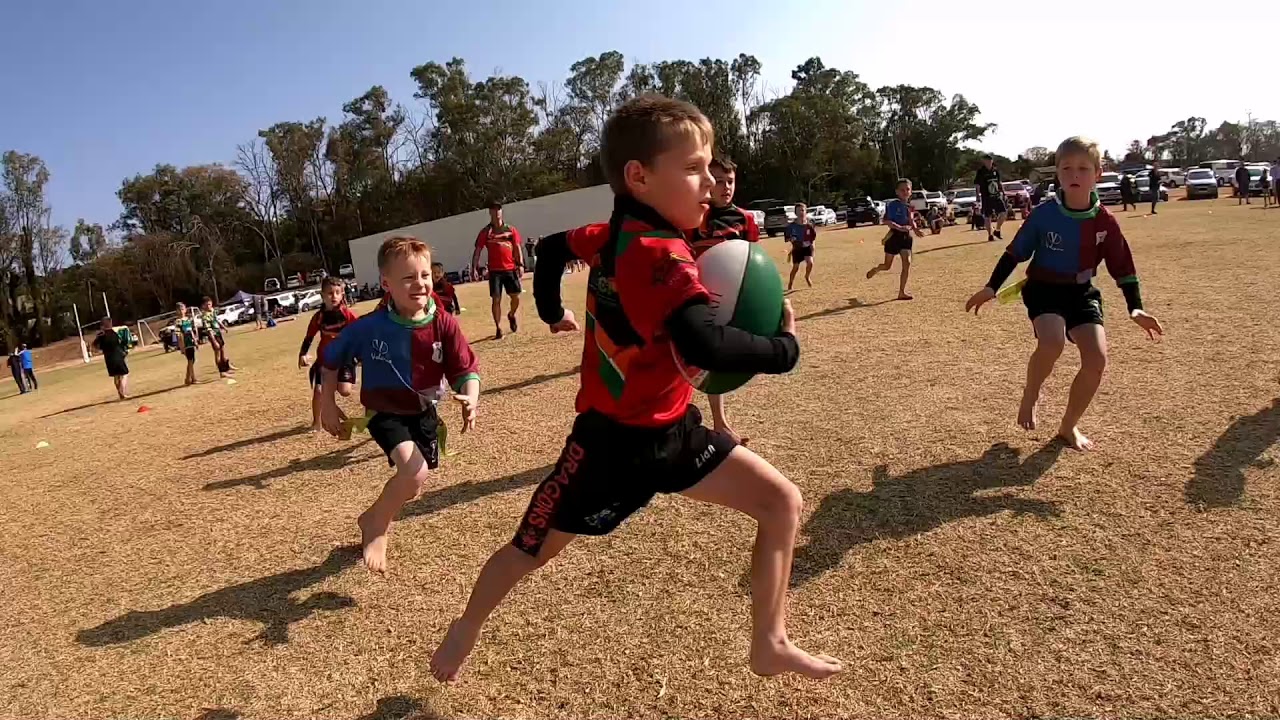 Harlequins u7 vs Dragons & Naka Bulle - August 2019 #Quinzies