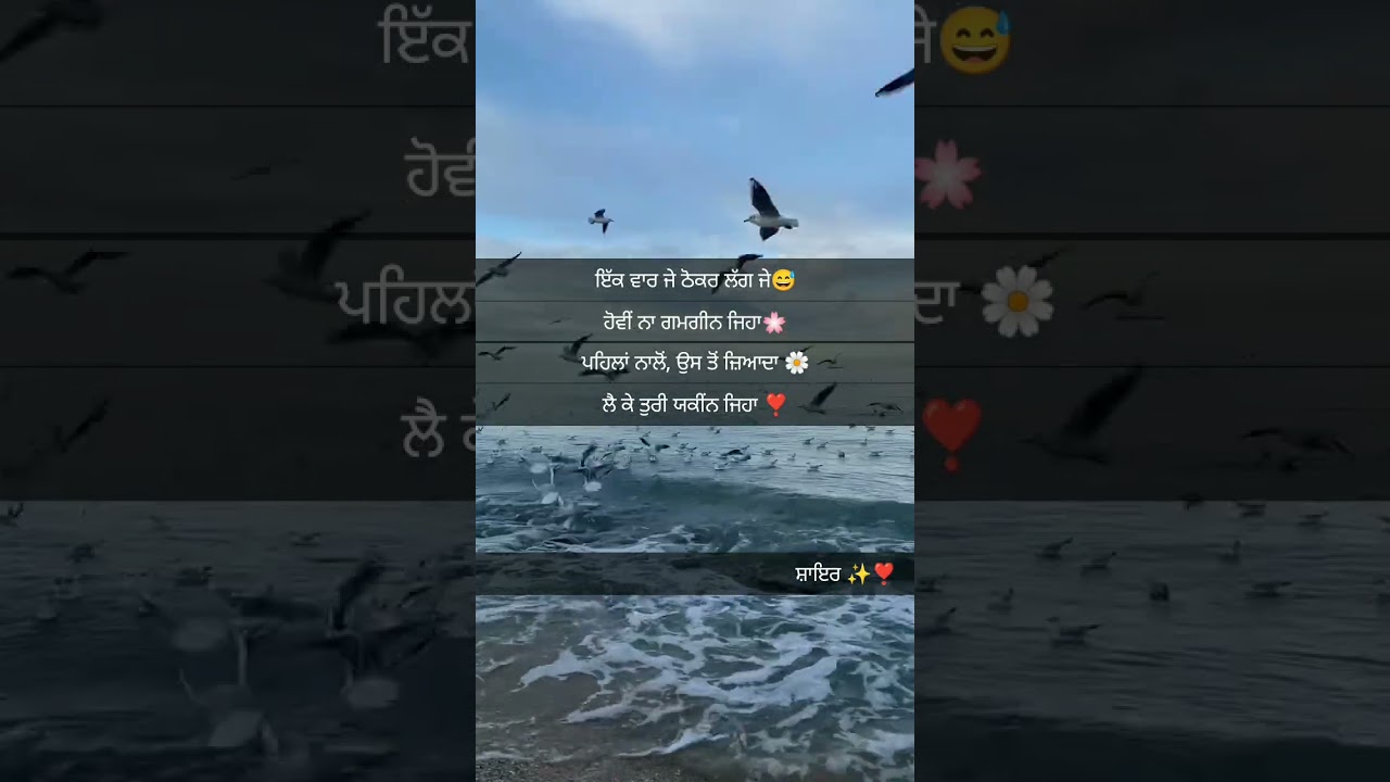 ਯਕੀਂਨ ❣️ punjabi shayari #shayari#short clip#short video #shorts#tranding#punjabiwritten#quotes