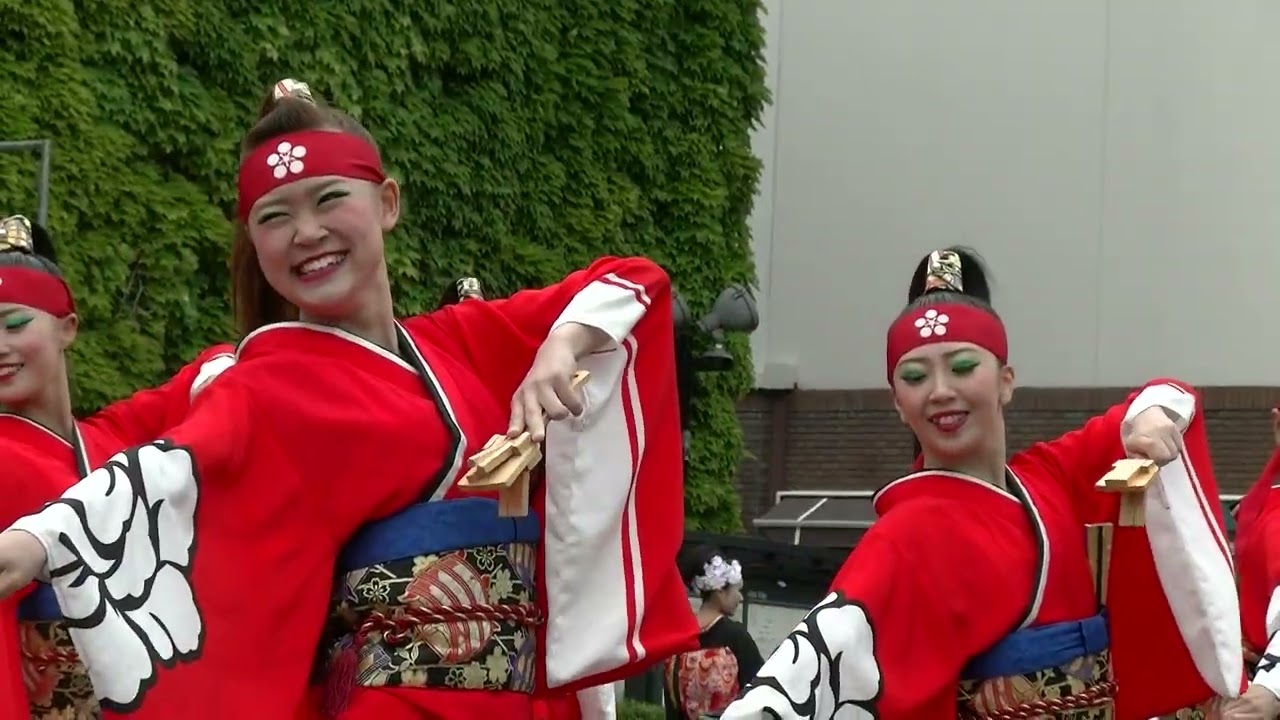 YOSAKOIソーラン祭り