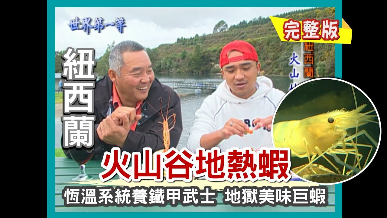 【紐西蘭】陶波地熱谷 地獄美味火山蝦（火山泥漿泡湯／毛利人／奧克蘭天空塔SKY JUMP）｜《世界第一等》48集小馬完整版