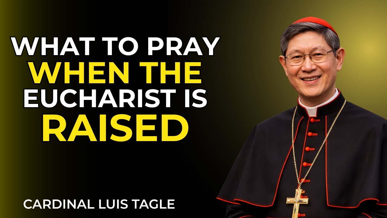 Do THIS When the Eucharist Is Lifted — Cardinal Tagle’s Hidden Teaching That Changes Everything
