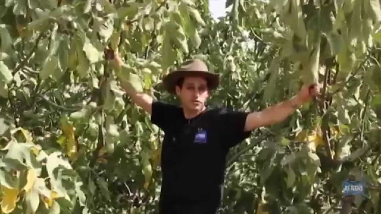 Why I Love Israel: Hebron