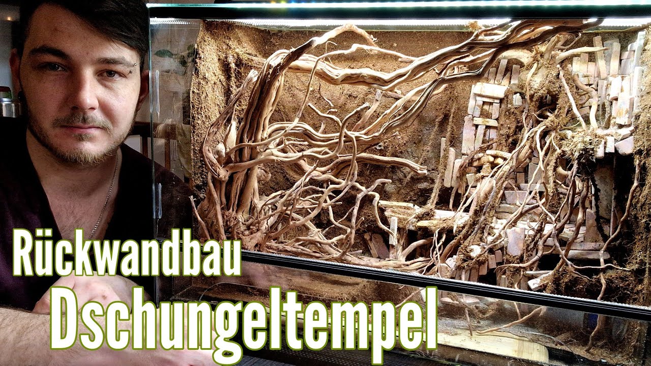 Anleitung Rückwandbau / Dschungeltempel - Terrarium