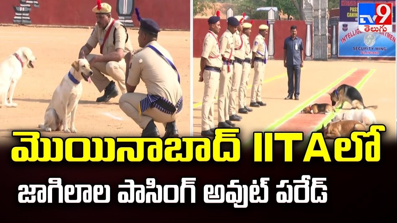 Telangana : మొయినాబాద్ IITAలో జాగిలాల పాసింగ్ అవుట్ పరేడ్ - TV9