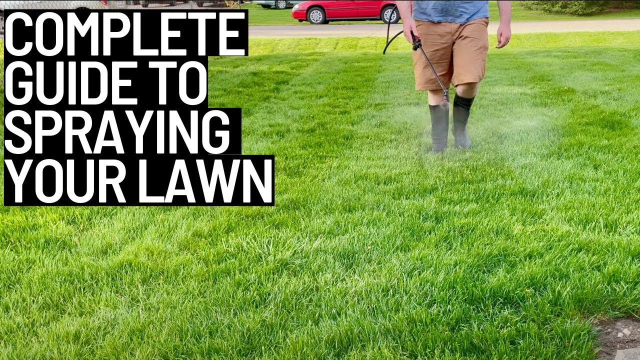 Backpack Sprayer Setup for Lawn Care Beginners