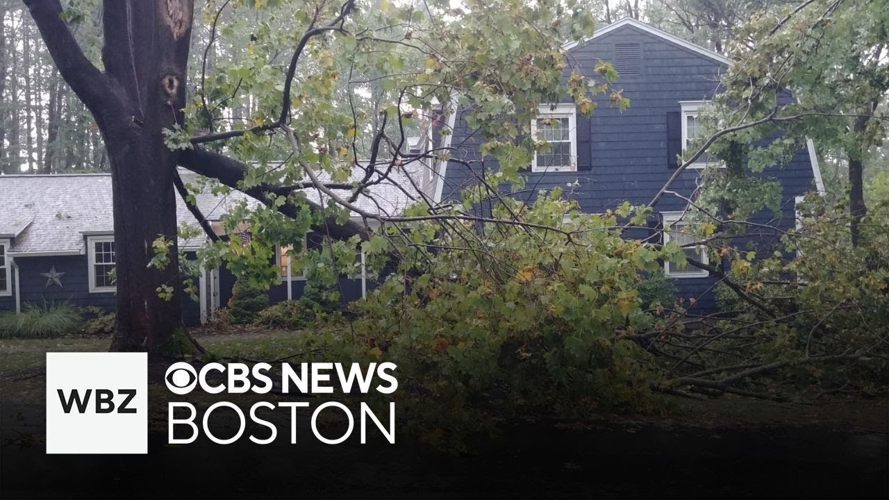 Tornado causes downed trees in Holden, Massachusetts