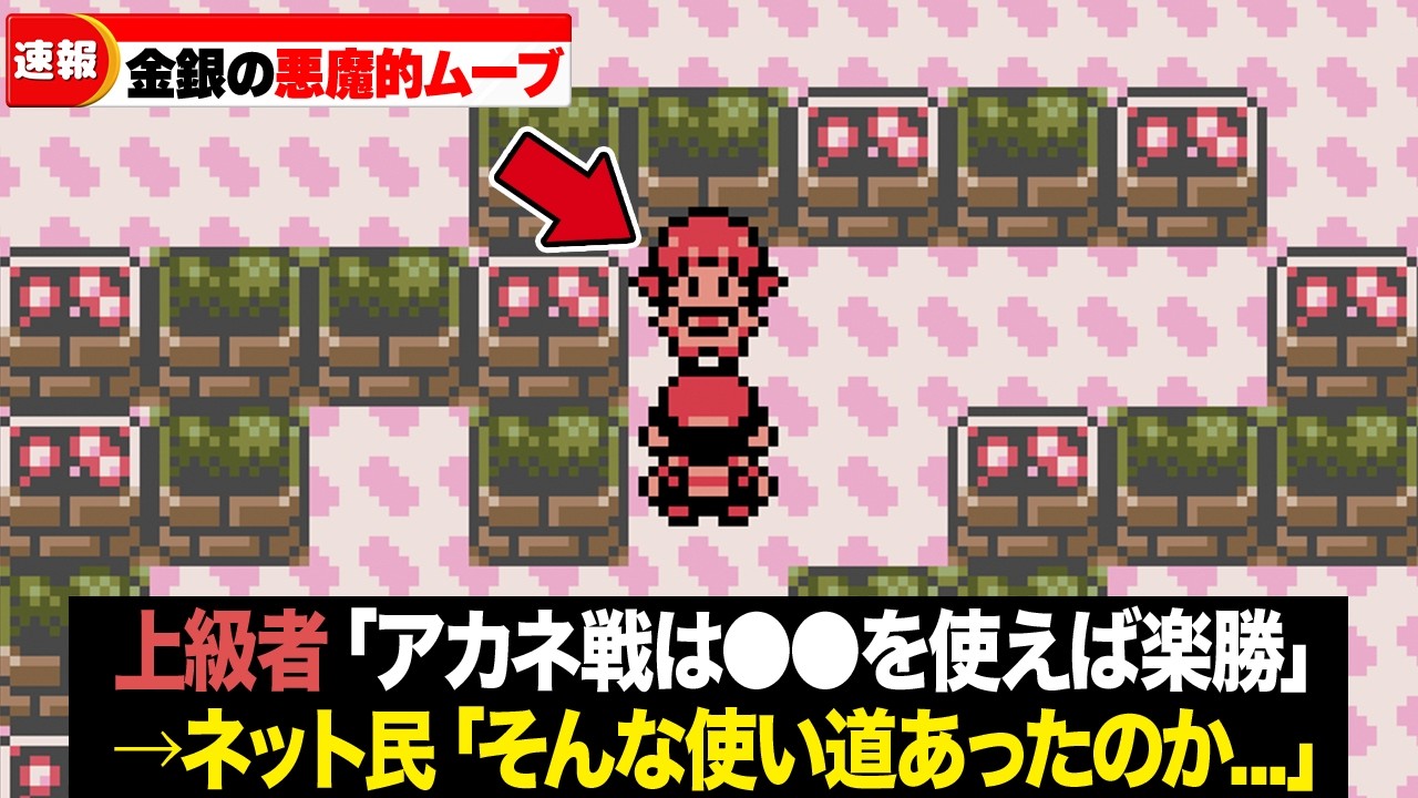 ポケモン金銀を極め尽くすとこうなる