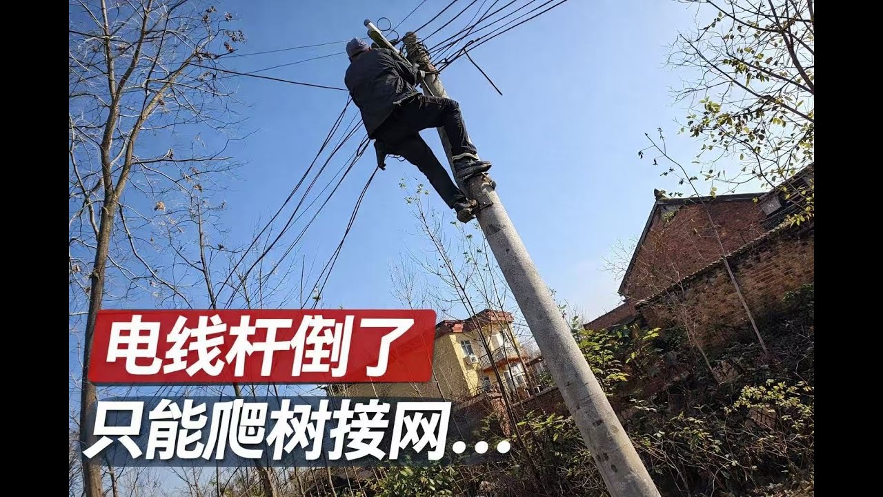 电线杆倒了一直没人管，我们只好把宽带先绑在树上