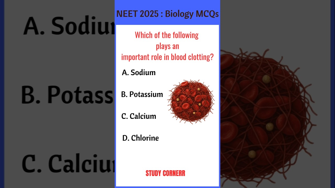 Biology MCQ Questions for NEET 2025 Exam | NEET MCQs 2025 | NEET Biology Most Expected Questions