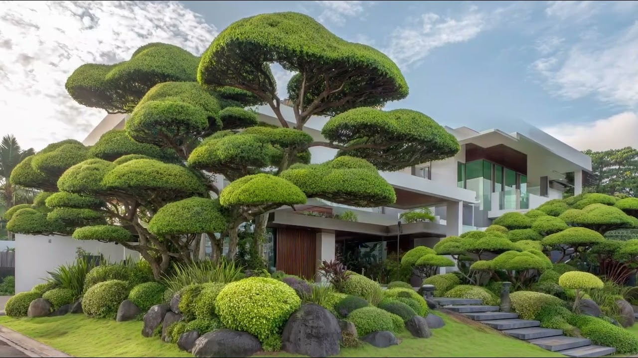Essential Plants for an Authentic Japanese Garden