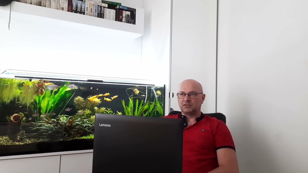 Filtr wciąga ryby! Odpowiedzi na Wasze pytania dot. filtra kubełkowego. Akwarium.