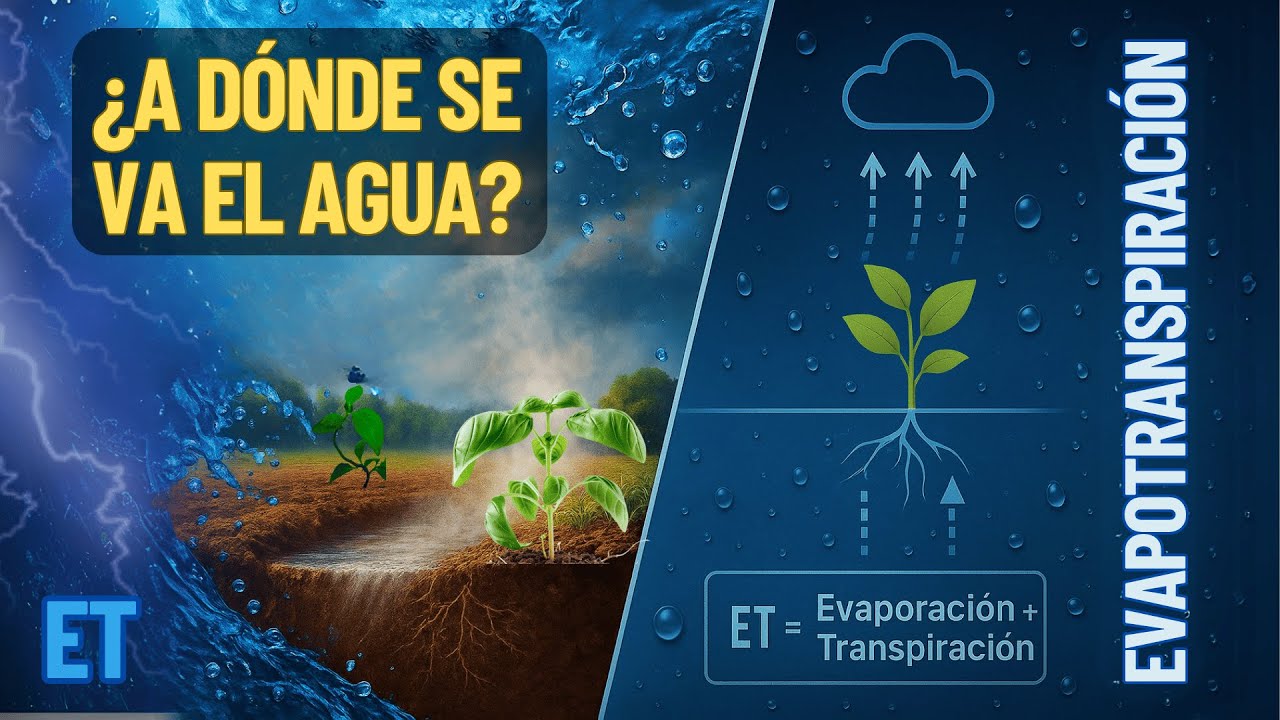 🚨 EL AGUA SE VA y NO LO NOTAS | EVAPOTRANSPIRACI&Oacute;N 🌧️