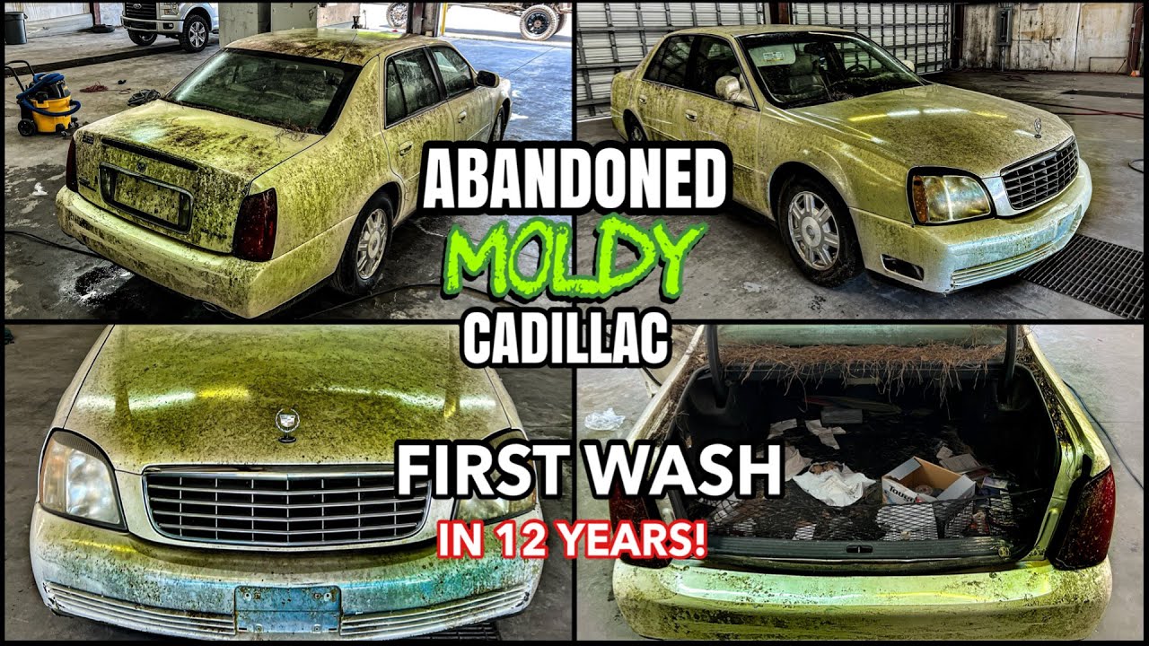 Глубокая очистка самого заплесневелого брошенного Cadillac из когда-либо существовавших | Безумно...