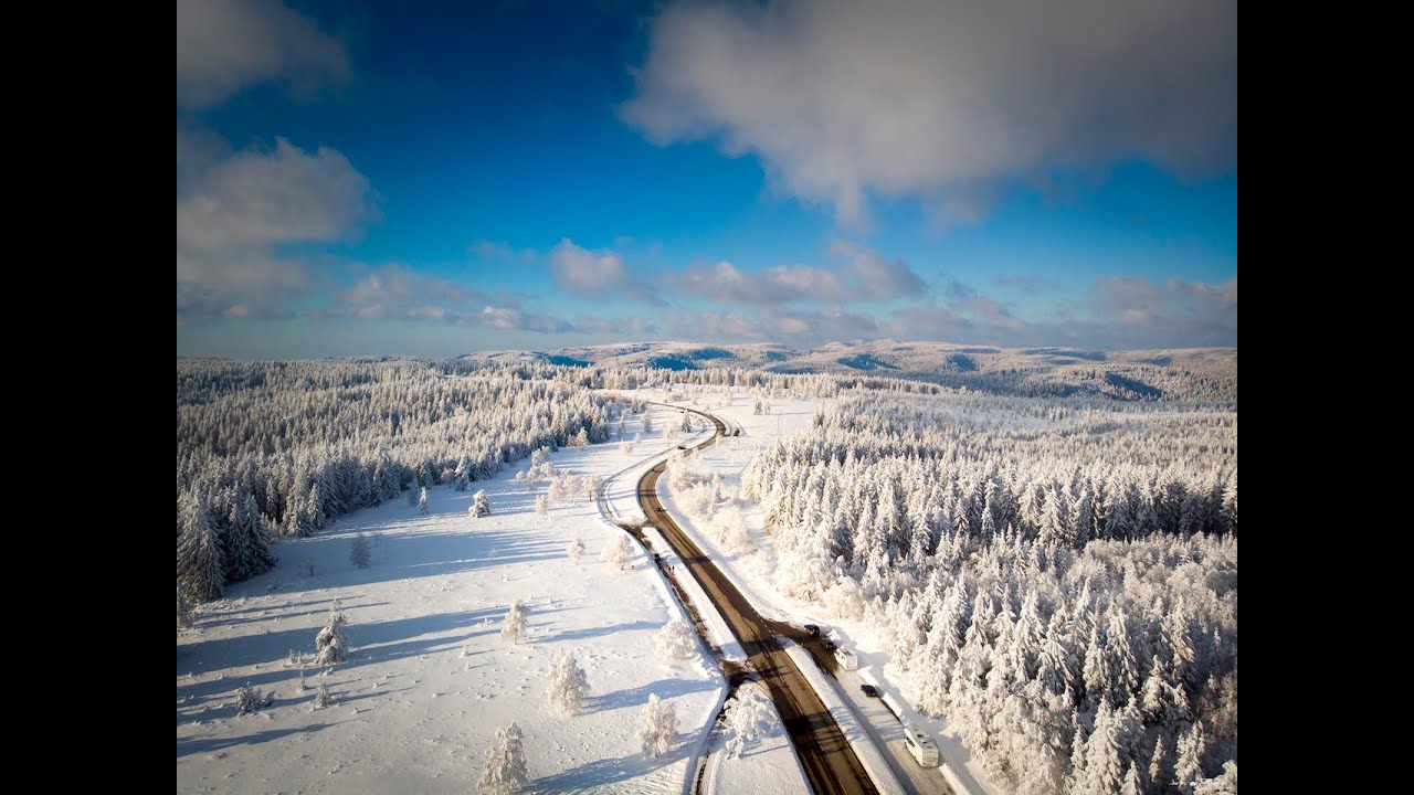 Der Nord Schwarzwald in 4K aus der Vogel Perspektive