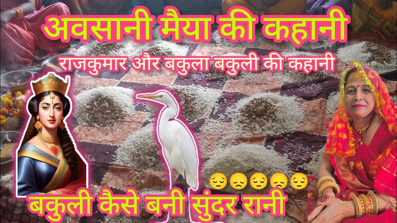 अवसानी माता की कहानी ll राजकुमार और बकुला बकुली की कहानी #avsanmaiyakikahani