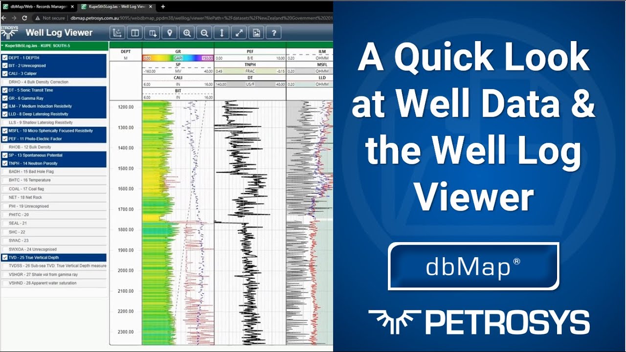 A Quick Look at Well Data and the Well Log Viewer in dbMap