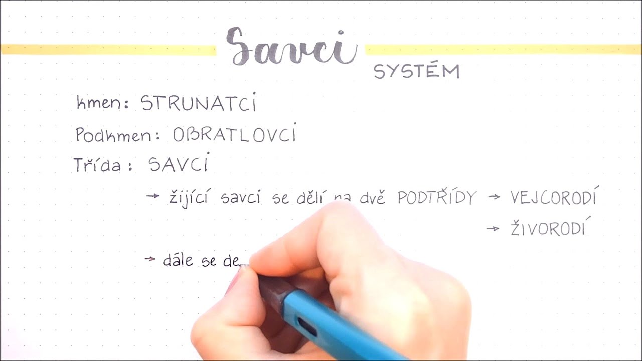 Savci - Systém savců, rozdělení, řády