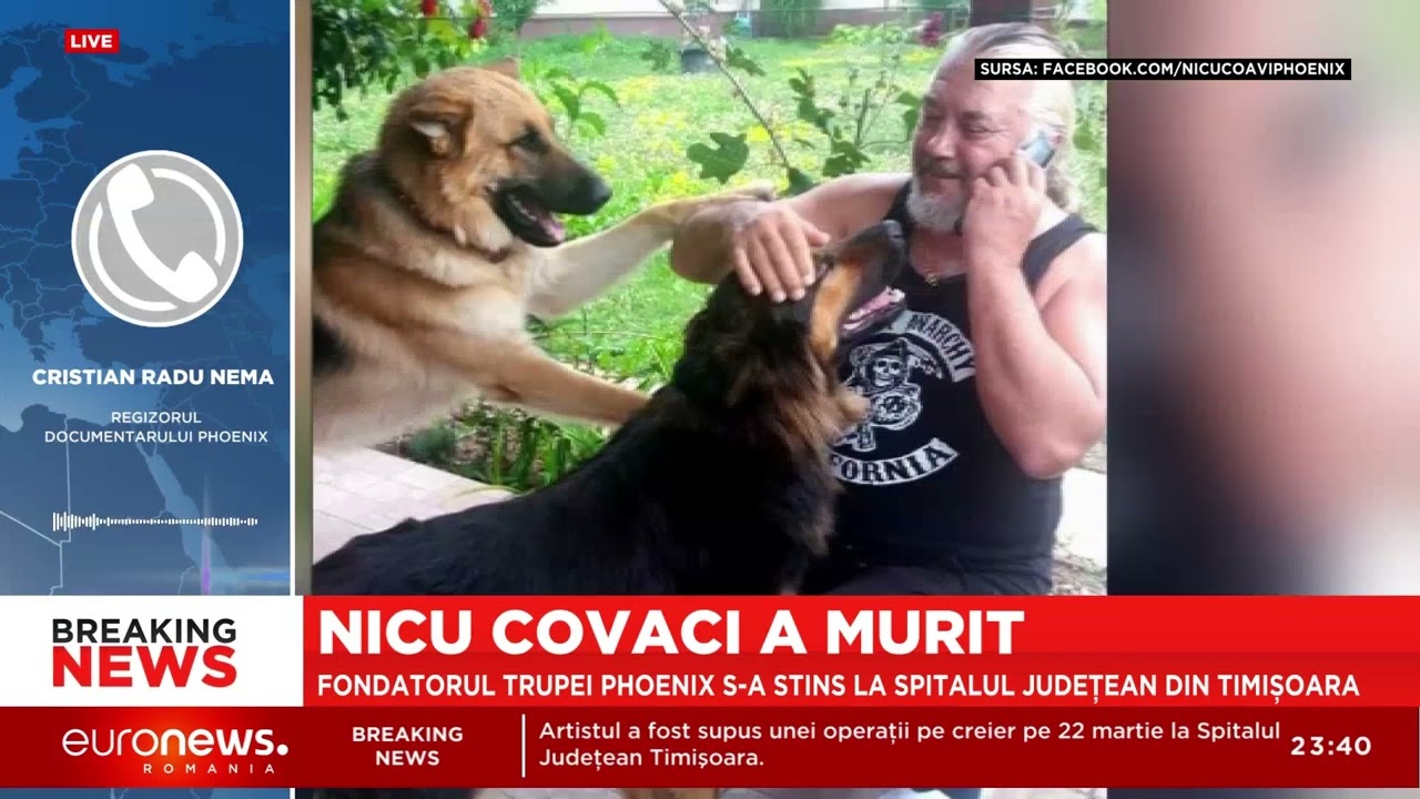 Nicu Covaci, 