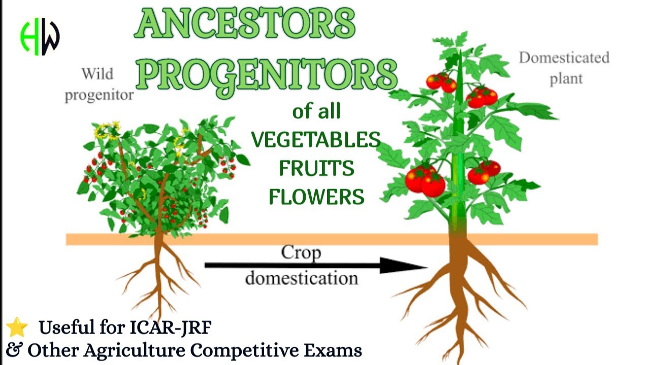 ANCESTORS / PROGENITORS of all Horticultural Crops | Useful for All Agri Competitive Exams