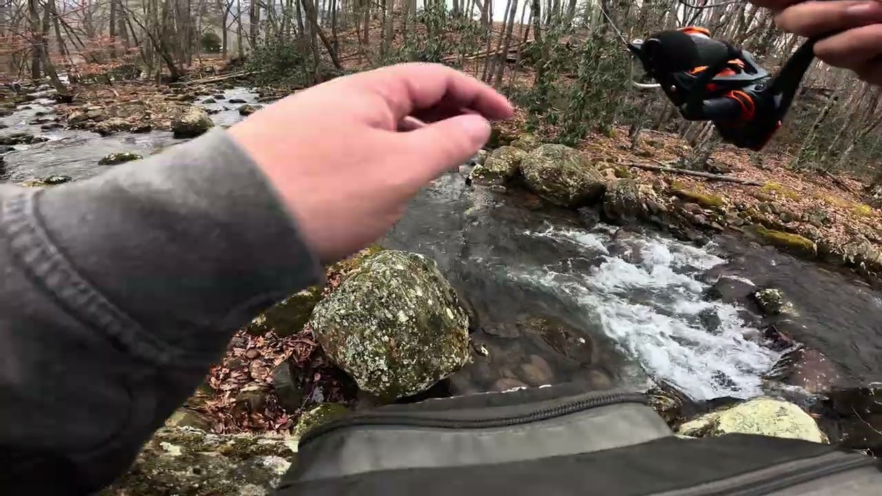 BRUMLEY GAP WINTER TROUT SEASON!!! 2026 😎