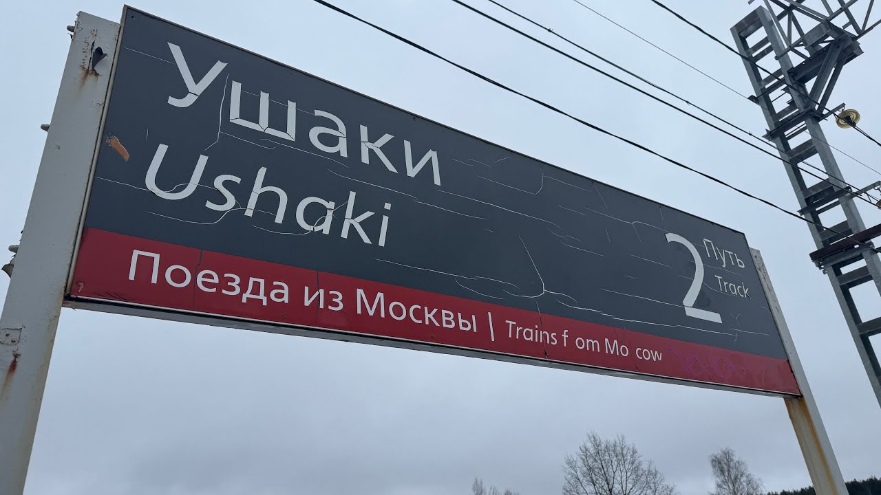 Утренние поезда на станции Ушаки. 