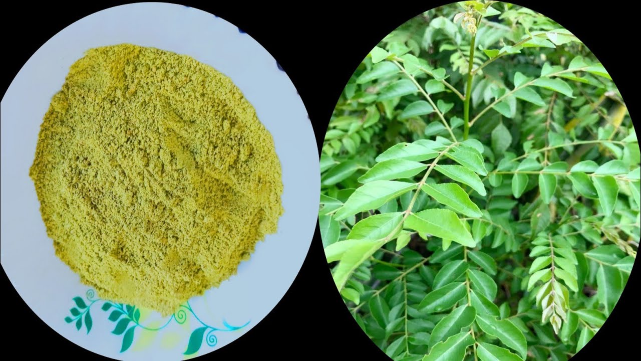 ഈ ഒരു കറി മാത്രം മതി 🤤 Kariveppila Podi |Molagai Podi |Curry Leaves Powder Recipe |Kariveppilai Podi