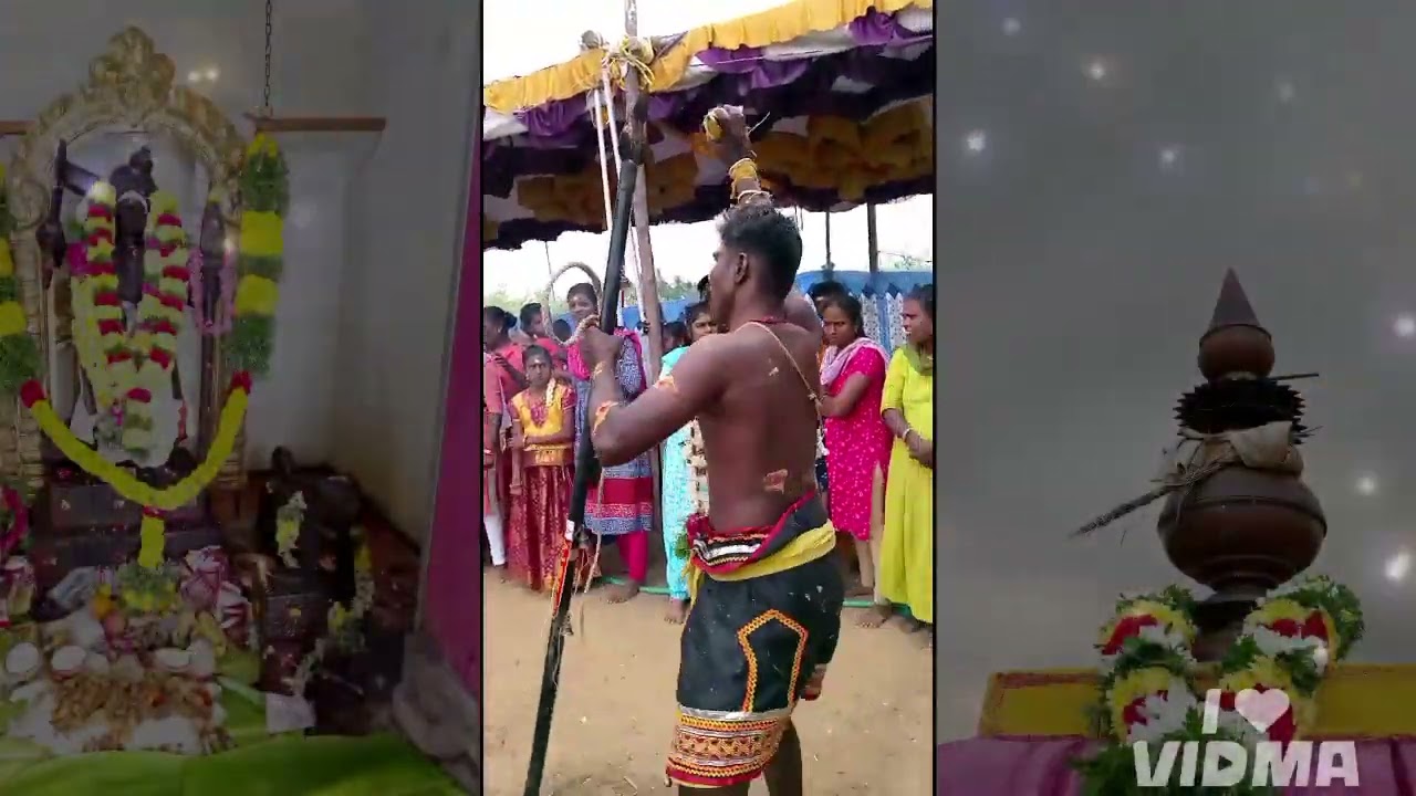 முத்துவீரன் சுவாமி மணலூர், சங்கரன்கோவில் தாலுகா பங்குனி உத்திரம்  பண்டிகையை கொண்டாடுங்களே!
