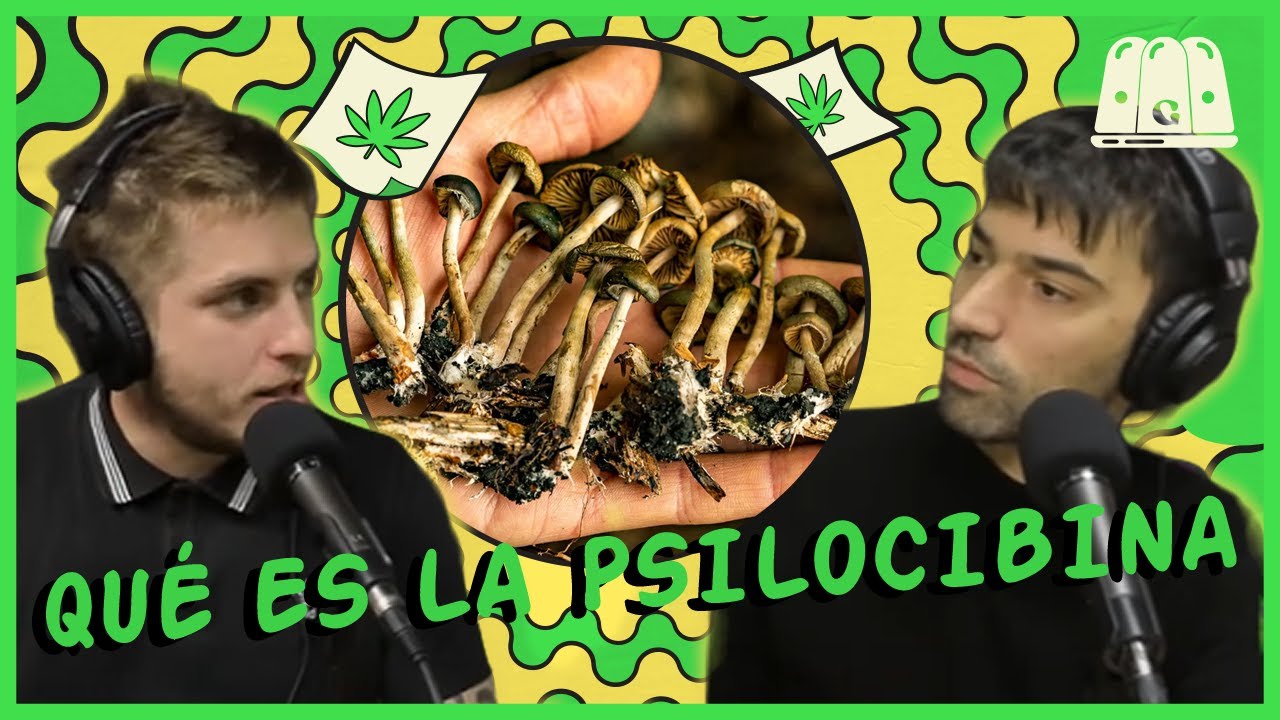 GELATINA | QUÉ ES LA PSILOCIBINA