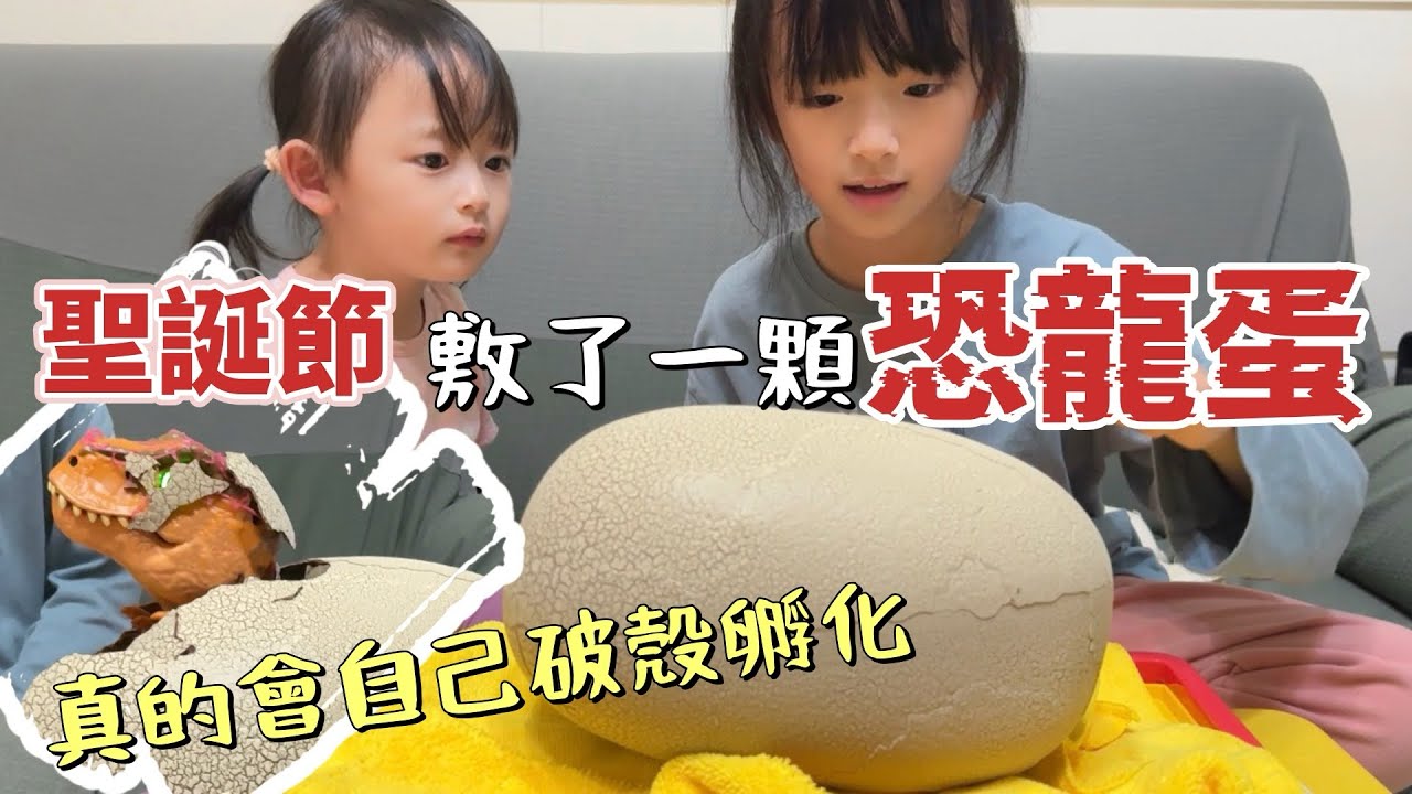 圓一個孵化恐龍蛋的夢！墨摩聖誕節的儀式感「DIY聖誕樹、拆禮物、孵恐龍蛋」
