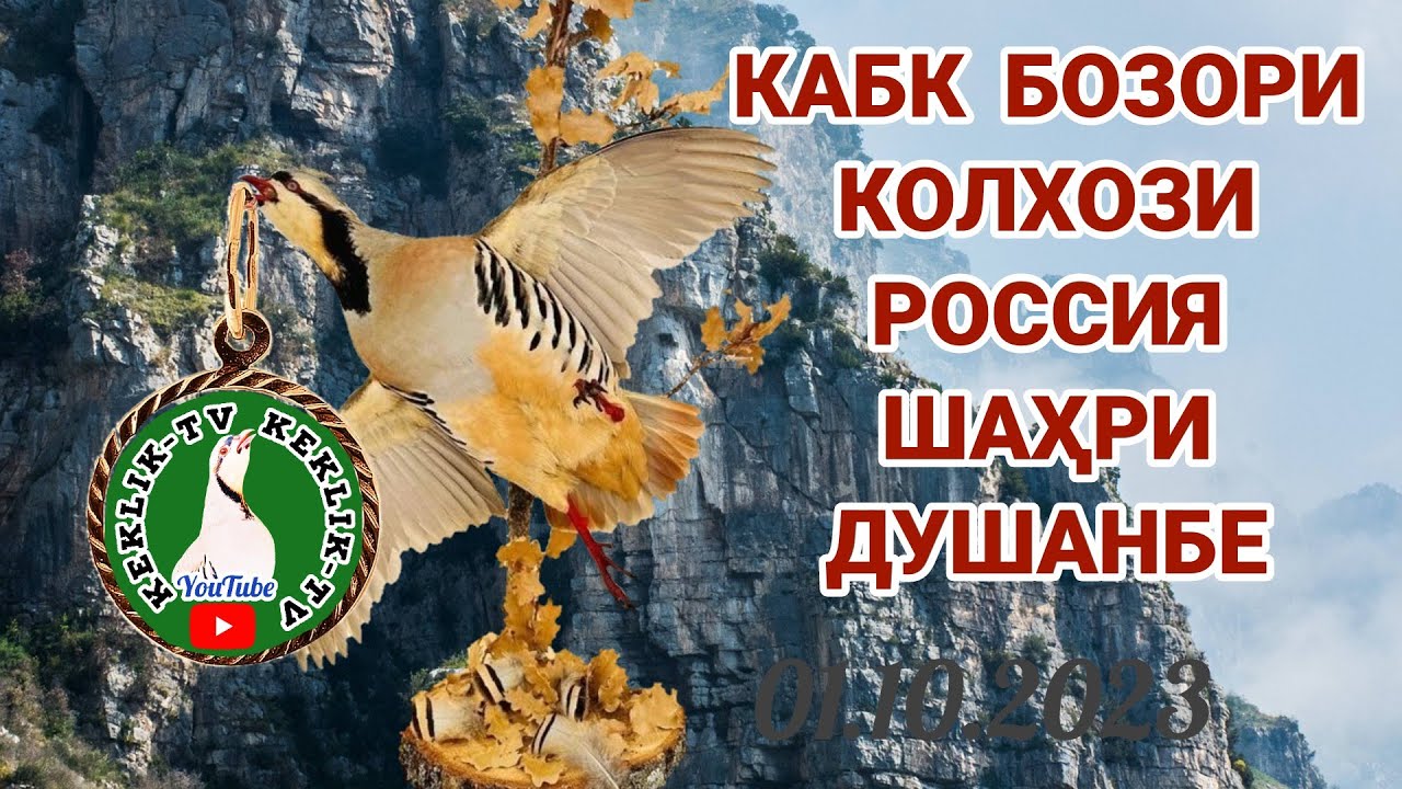 Кабк бозори Колхози Россия ш. Душанбе 01.10.2023