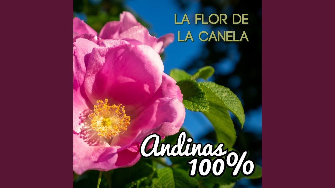 Alma Llanera