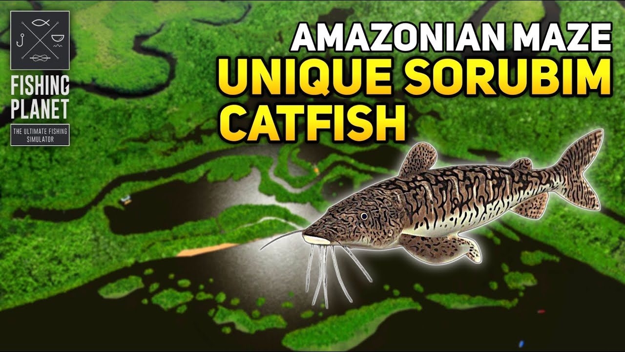 Unique Sorubim Catfish Amazonian Maze - Fishing Planet