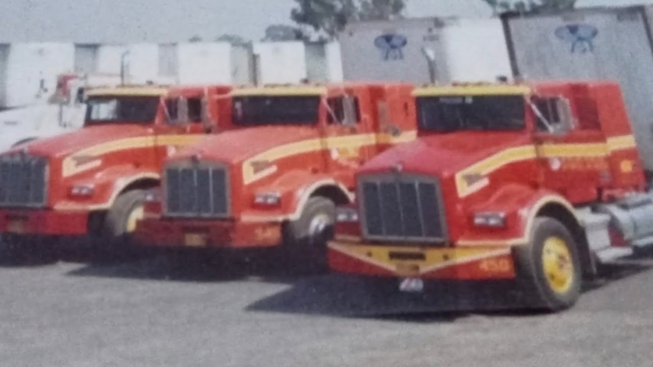 Fletes pegaso 