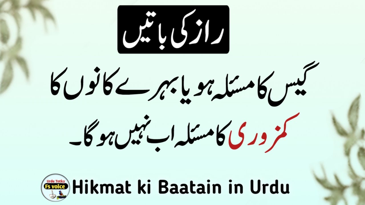 Quotes About Life | Rumi Quotes in Urdu | Motivational Islamic Quotes | Golden Words | Hazrat Ali