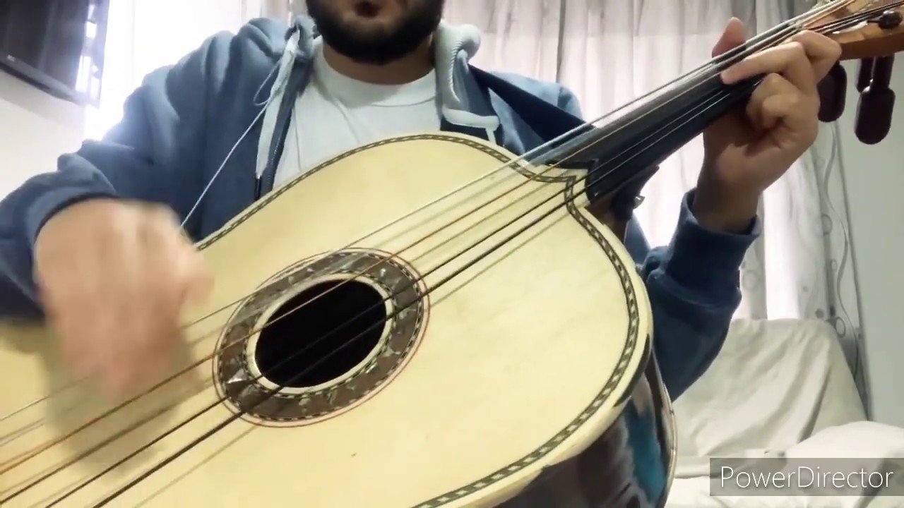 El Palmero Guitarrón Mariachi Vargas de Tecalitlan