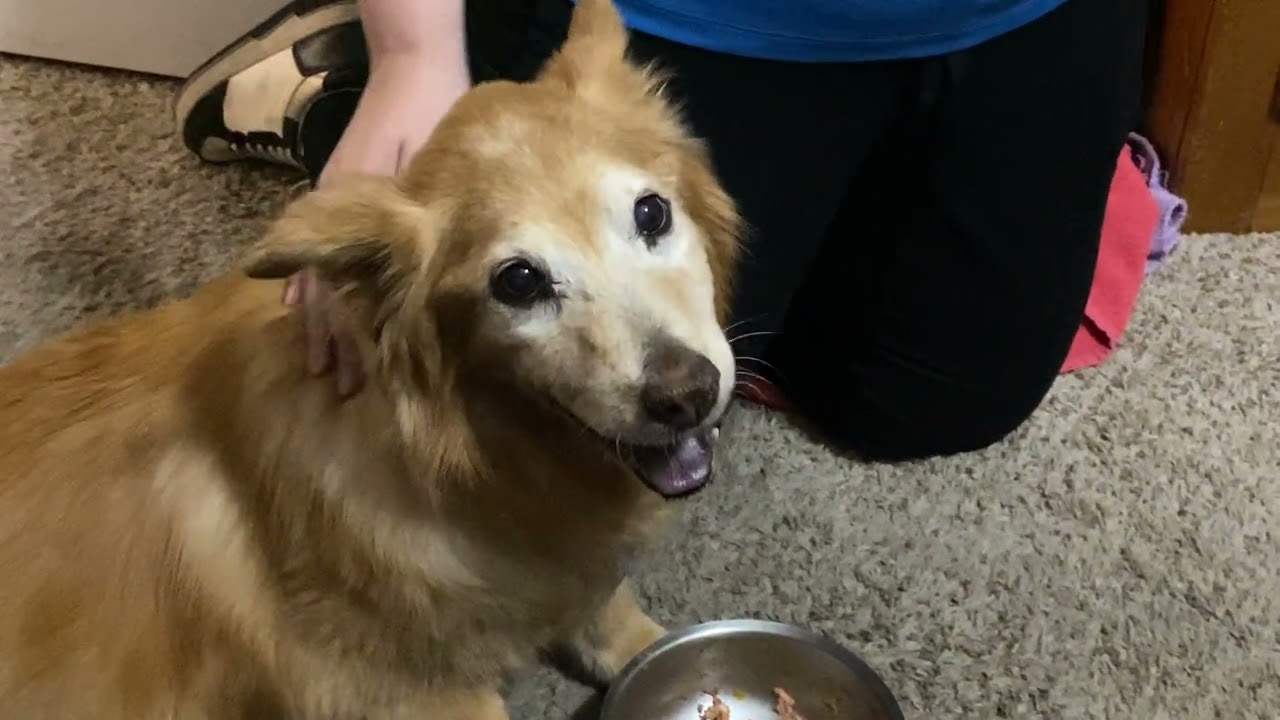 Dunlaps Goodbye Daisy 02/16/26