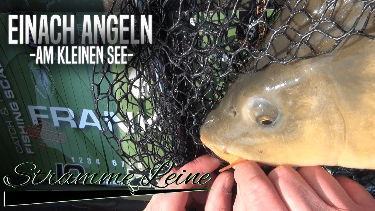 Einfach ANGELN - Angeln auf KARPFEN, BRASSEN und KARAUSCHEN am kleinen SEE