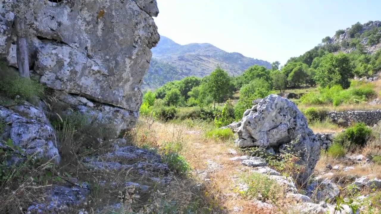 Muriqi  2010