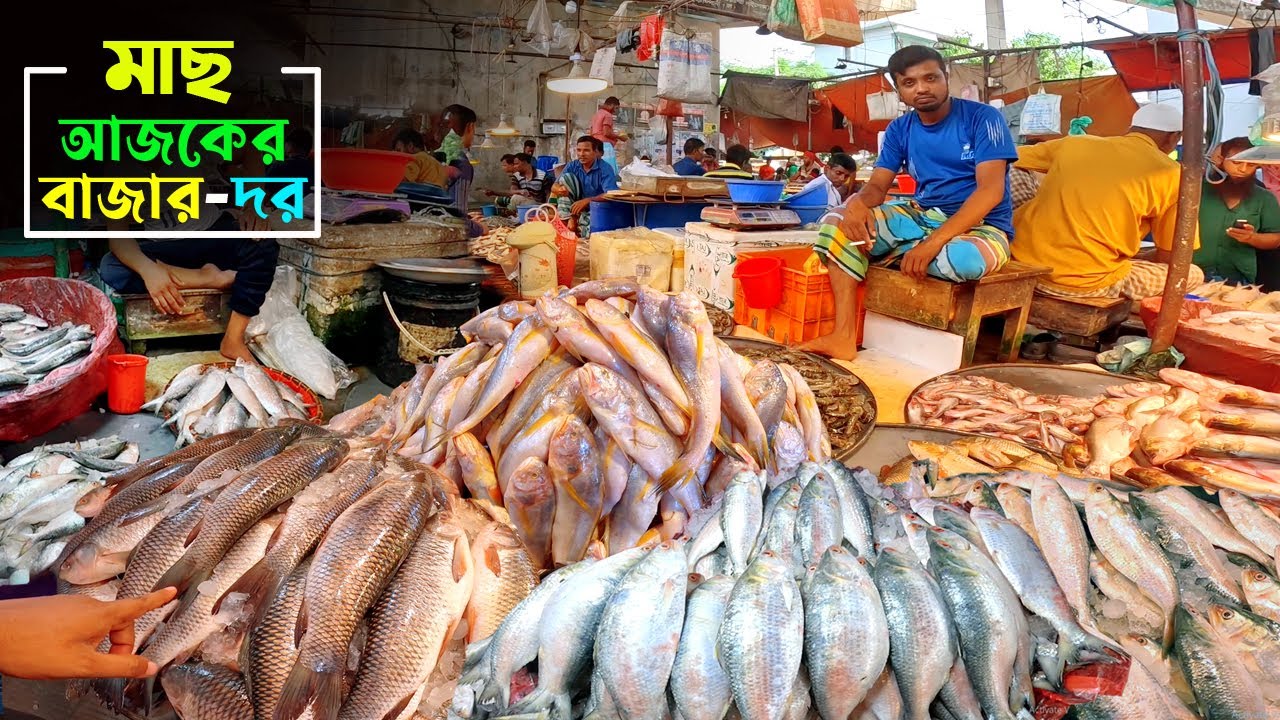 আজকের বাজারে মাছের দাম | fish price in bd | মাছের বাজার | Fish price in Bangladesh | ajker bazar dor