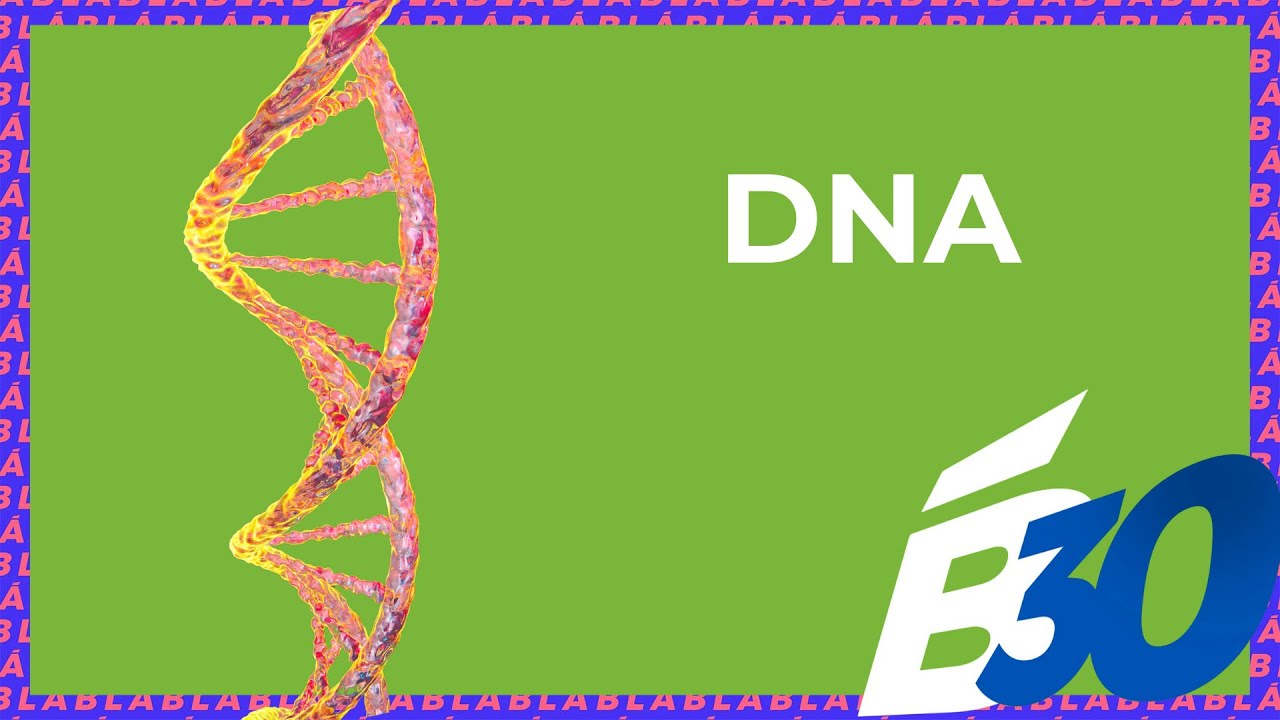 DNA | Biologia em Meia Hora