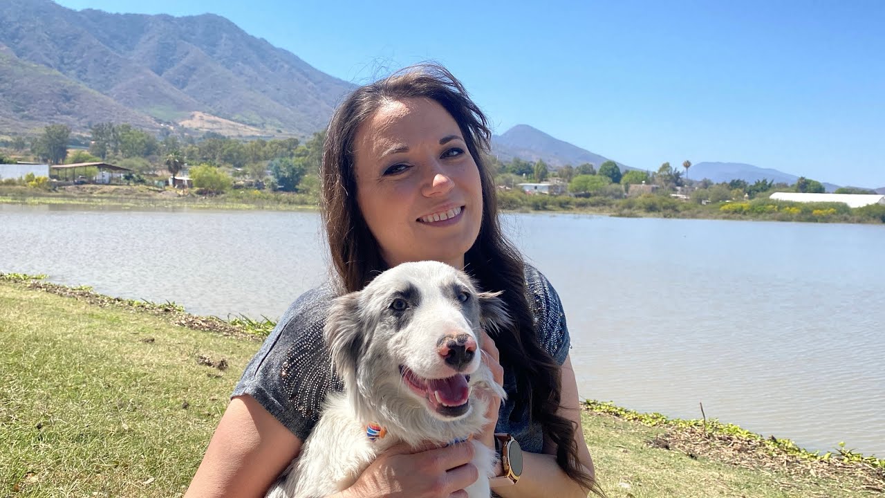 Lake near Chapala + update & meet cookie 🤩 