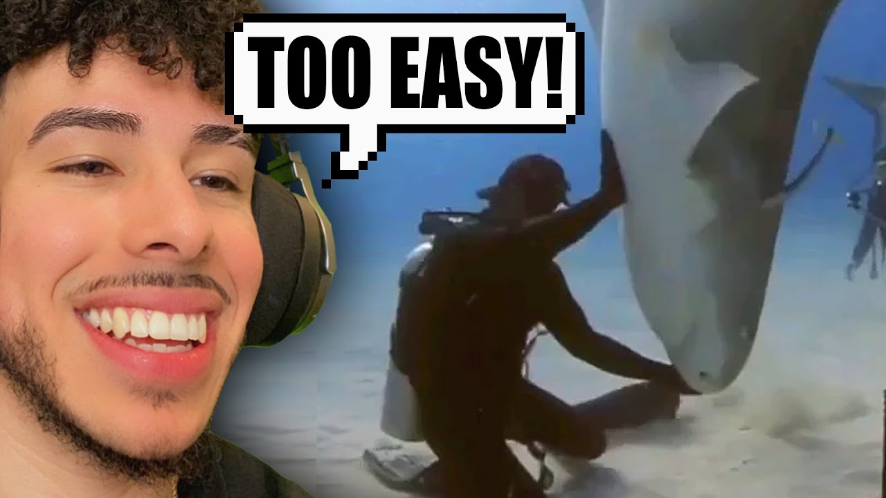 How To Win Against Every Apex Predator