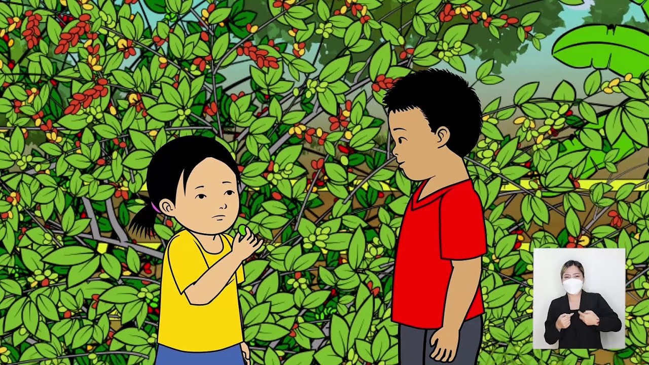 ພາກ II.EP03 - ໝາກຫຼອດ - Mak Lord fruit