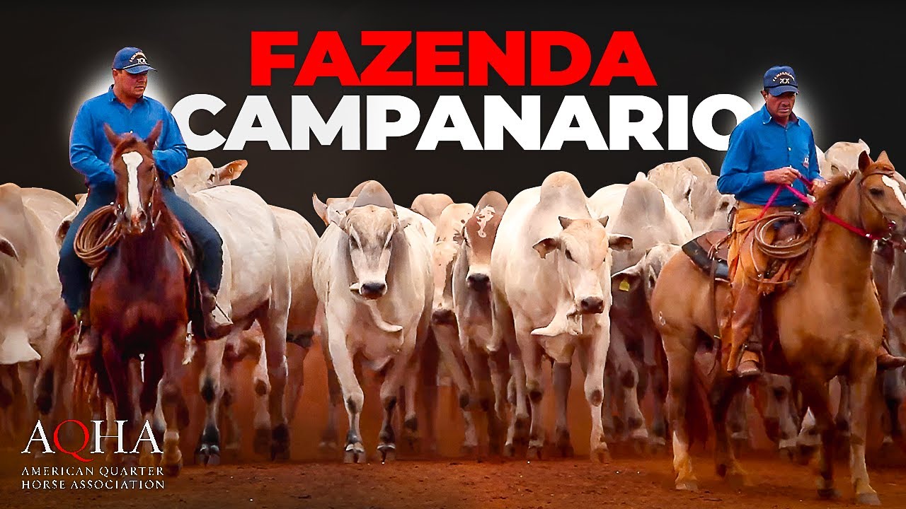 Top Ranch in Brazil Wins Best Remuda!