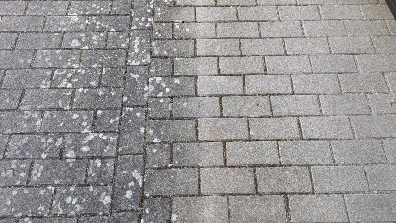 Flechte auf Pflastersteinen und Terrasse verhindern! So geht's
