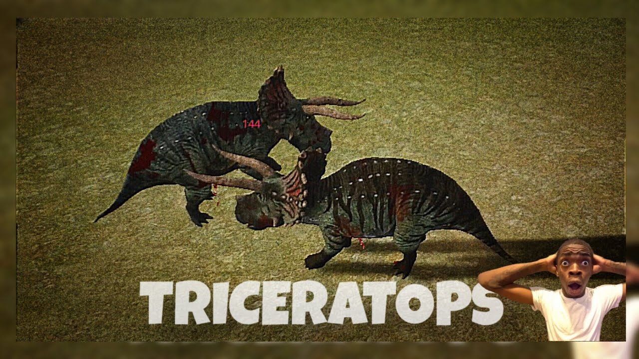 triceratops the TANK in pvp 🥶🗿(the cursed isle funny gameplay)