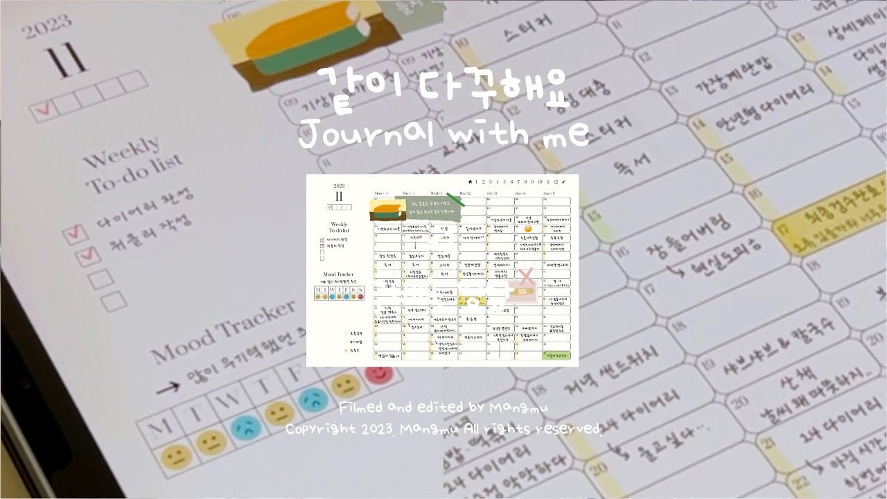✸ 2024 아이패드 다이어리 출시 ✸ 11월 첫째주 위클리 다꾸📓 | 아이패드 다이어리 꾸미기 | 굿노트 다꾸 | journal with me