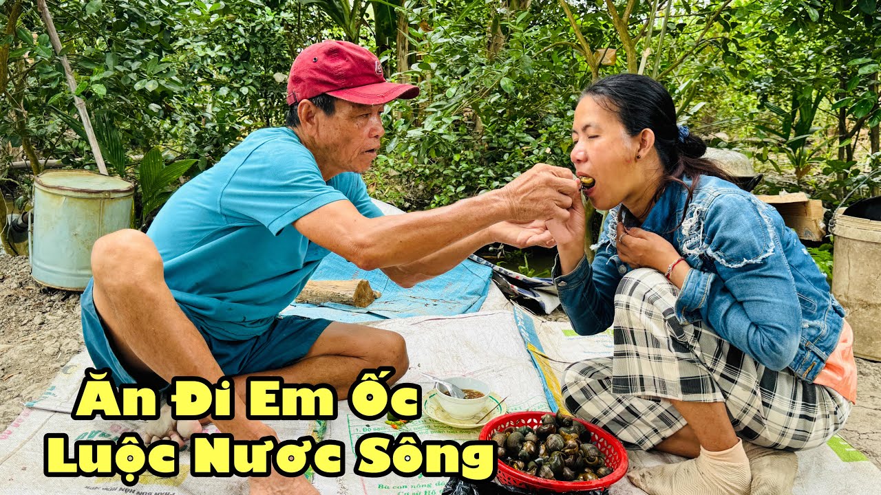 Chú giá bắt ốc bươu vàng luộc bằng nước sông đãi quy ăn khen ngon hết lời còn đúc luôn chú giá ăn 